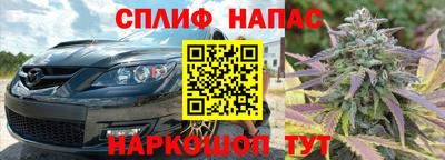 стаф Бузулук