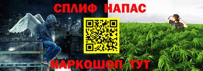мяу мяу мука Будённовск