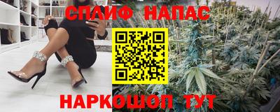 мяу мяу мука Будённовск
