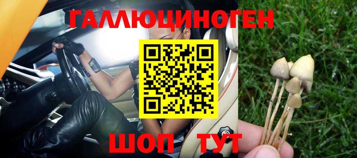 Псилоцибиновые грибы Psilocybine cubensis  Вход с VPN  Шумерля  Галлюциногенные грибы Cubensis 